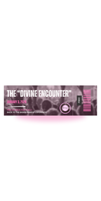 The Divine Encounter